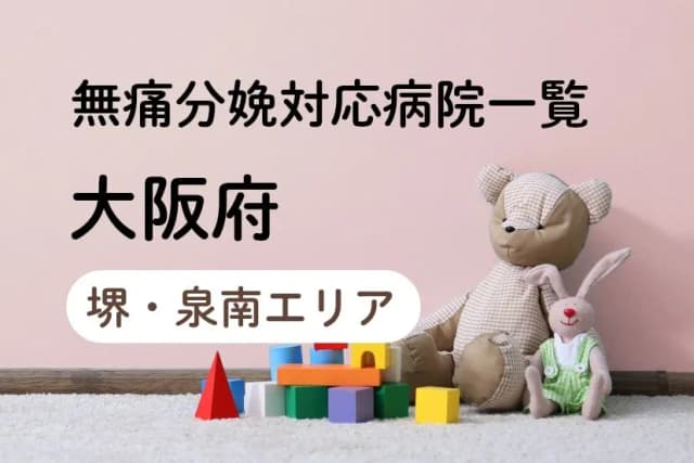 【2023年最新】大阪府（堺・泉南エリア）の無痛分娩の費用は？平均予算は？病院一覧とコロナ対応