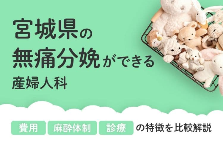 【2026年最新】宮城県の無痛分娩ができる産婦人科まとめ｜費用・体制・診療等を比較解説