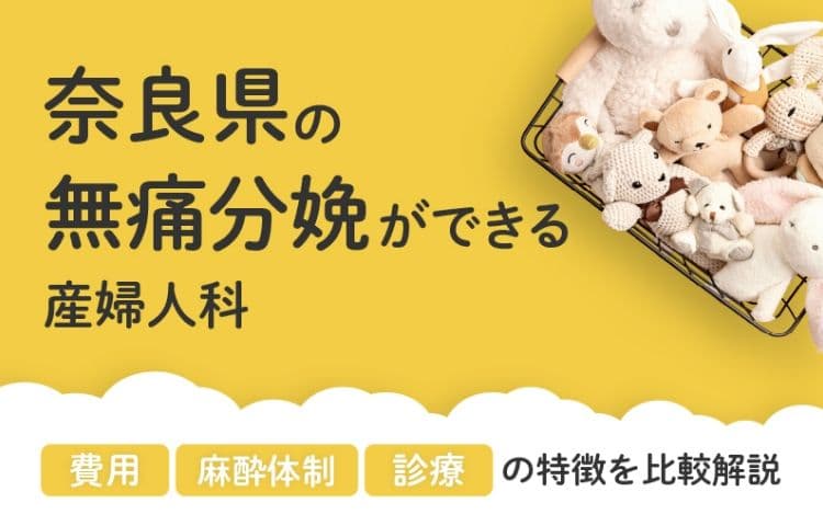 【2026年最新】奈良県の無痛分娩ができる産婦人科まとめ｜費用・体制・診療等を比較解説