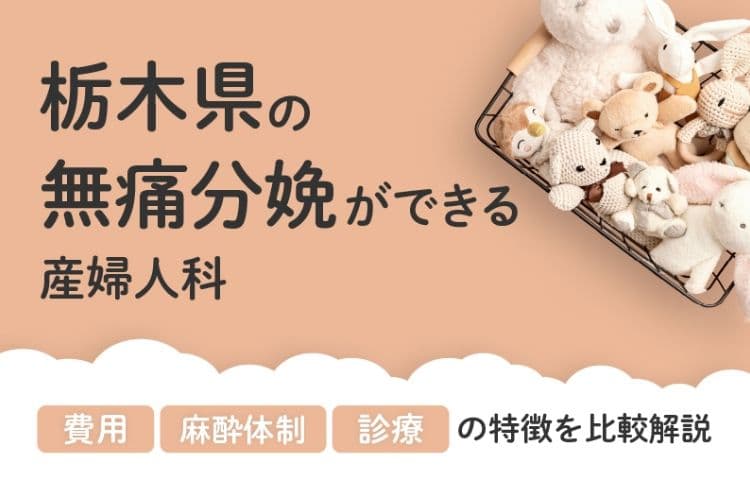 【2026年最新】栃木県の無痛分娩ができる産婦人科まとめ｜費用・体制・診療等を比較解説