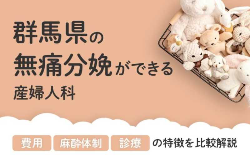 【2026年最新】群馬県の無痛分娩ができる産婦人科まとめ｜費用・体制・診療等を比較解説