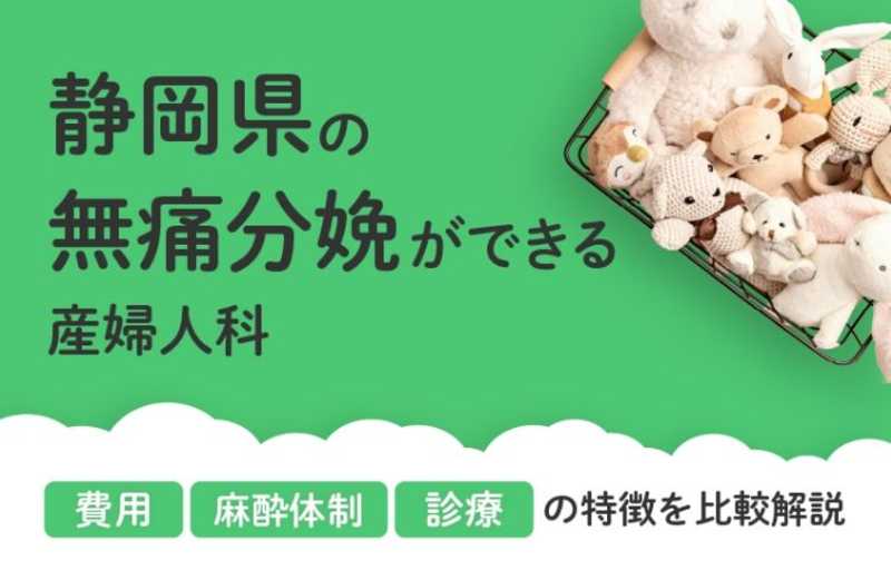 【2026年最新】静岡県の無痛分娩ができる産婦人科まとめ｜費用・体制・診療等を比較解説
