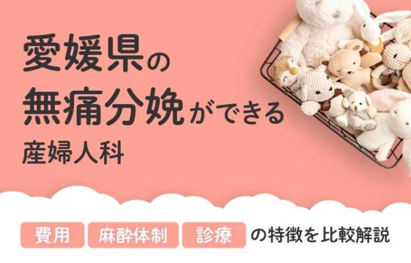 【2026年最新】愛媛県の無痛分娩ができる産婦人科まとめ｜費用・体制・診療等を比較解説