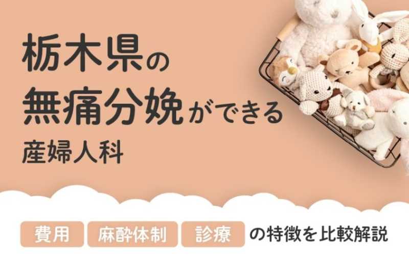 【2026年最新】栃木県の無痛分娩ができる産婦人科まとめ｜費用・体制・診療等を比較解説
