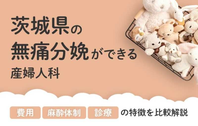 【2026年最新】茨城県の無痛分娩ができる産婦人科まとめ｜費用・体制・診療等を比較解説