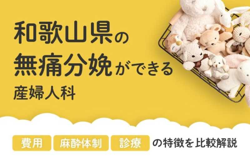 【2026年最新】和歌山県の無痛分娩ができる産婦人科まとめ｜費用・体制・診療等を比較解説