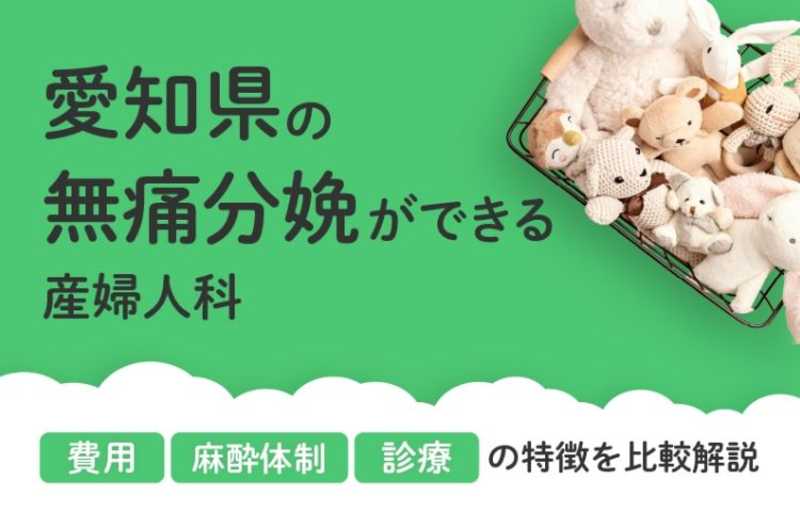 【2026年最新】愛知県の無痛分娩ができる産婦人科まとめ｜費用・体制・診療等を比較解説